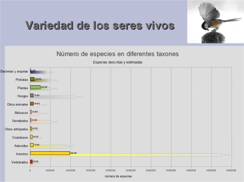 variedad de los seres vivos