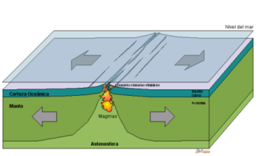 Dorsal oce&aacute;nica