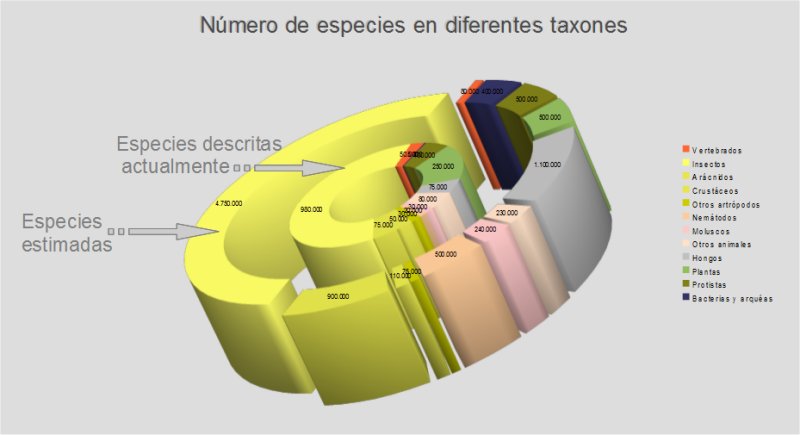 variedad de los seres vivos